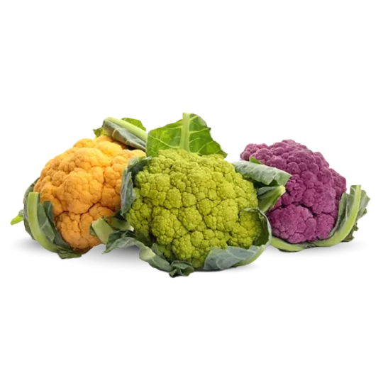 Cavolo Colorato