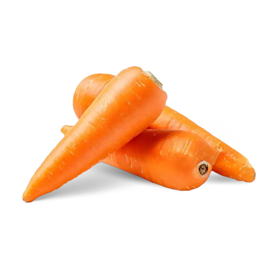 Carote