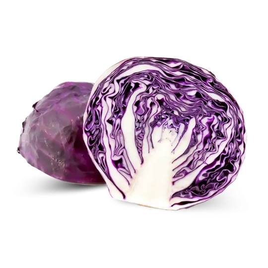 Cavolo Cappuccio Viola