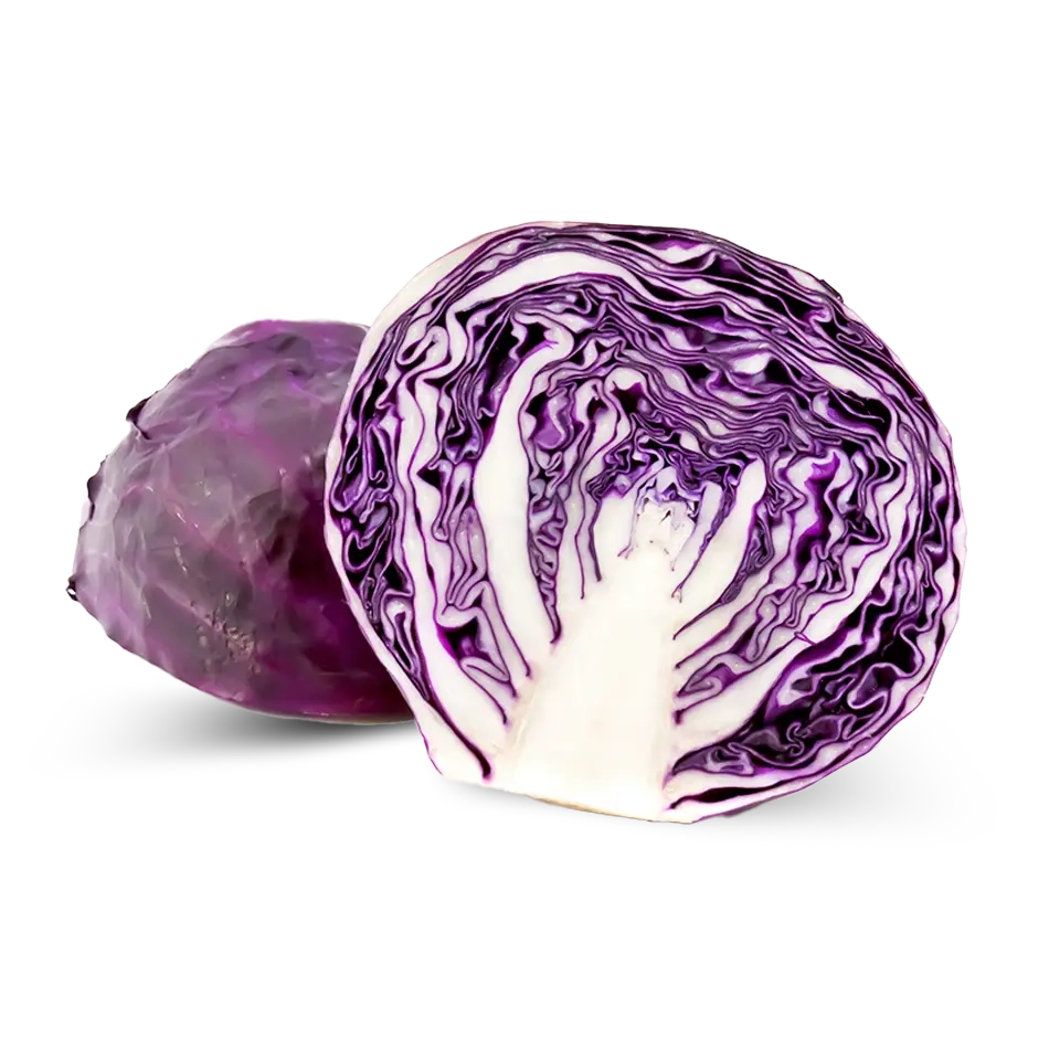 Cavolo Cappuccio Viola