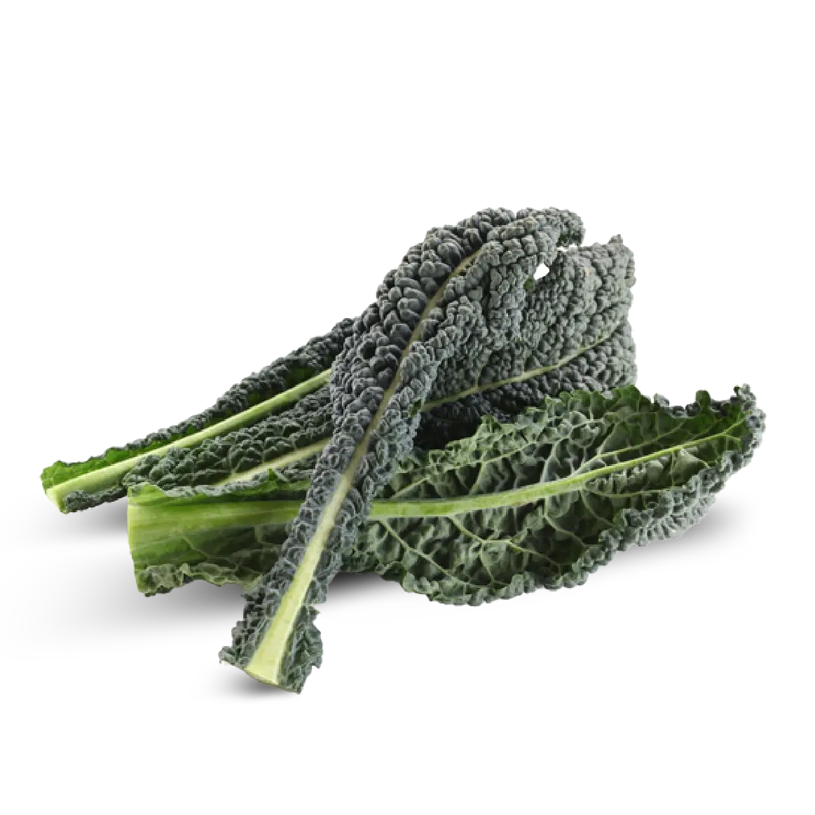 Cavolo Nero