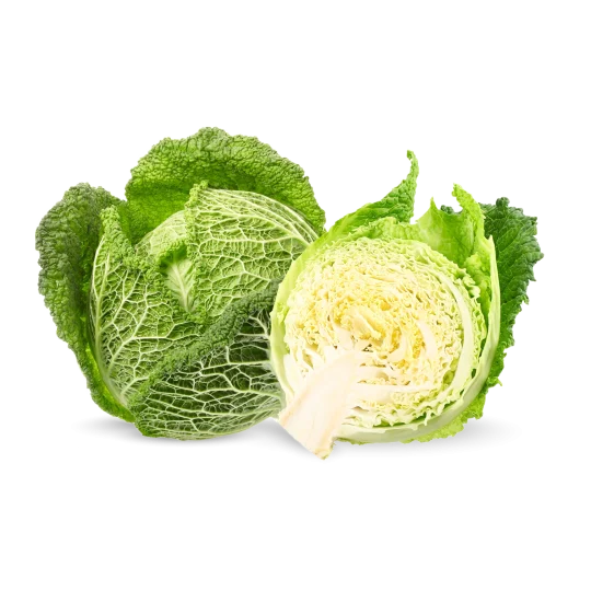 Cavolo Verza