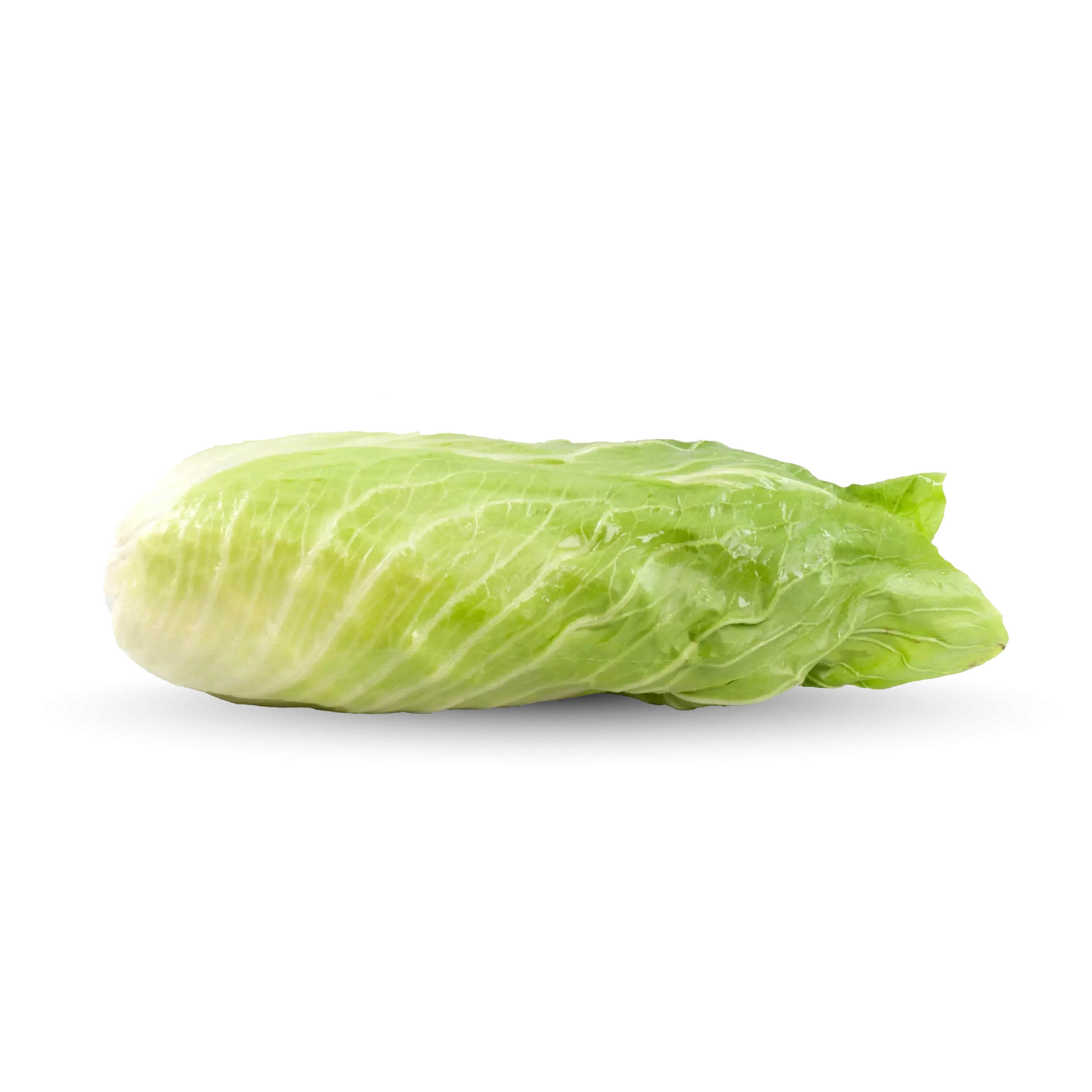 Pan di Zucchero