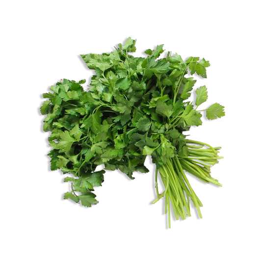 Prezzemolo