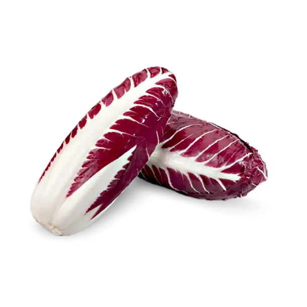 Radicchio Lungo