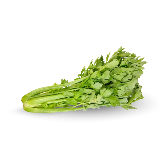 Sedano